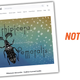 Illustration for article titled Volkswagen Keeps Having To Be Reminded It Doesnt Own The Word Beetle